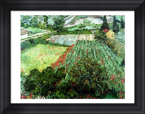 Framed Field with Poppies, 1889 Print