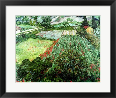 Framed Field with Poppies, 1889 Print