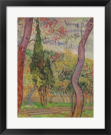 Framed Park at the Saint-Paul Hospital, 1889 Print