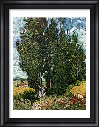 Framed Cypresses Print