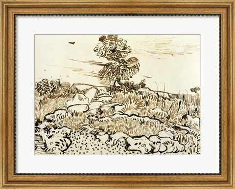 Framed Rocky Ground at Montmajour Print