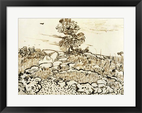 Framed Rocky Ground at Montmajour Print