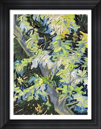 Framed Acacia in Flowe Print