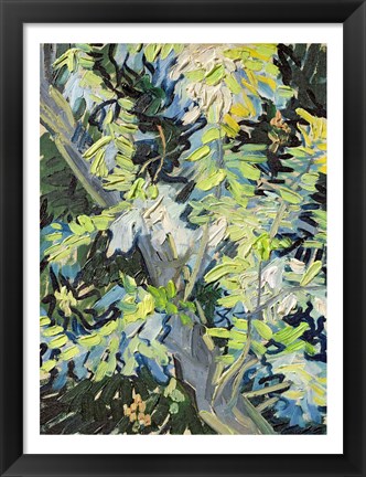 Framed Acacia in Flowe Print