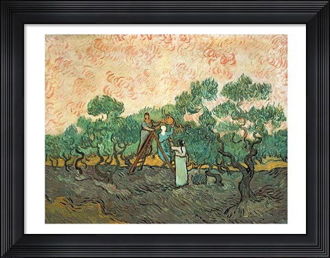 Framed Olive Pickers Print