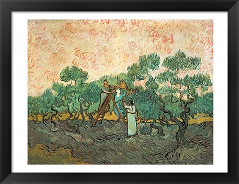 Framed Olive Pickers Print