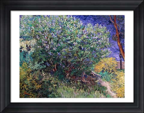 Framed Lilac Bush, 1889 Print