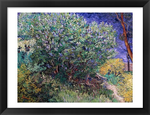 Framed Lilac Bush, 1889 Print