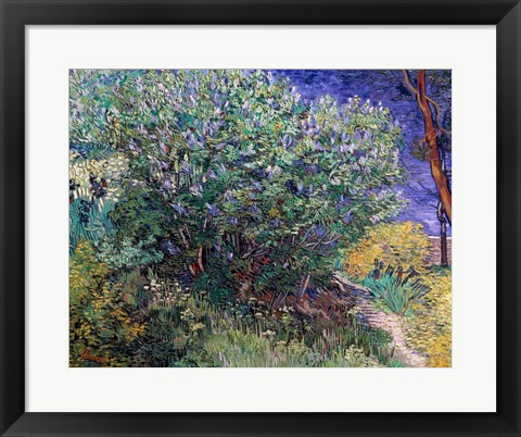 Framed Lilac Bush, 1889 Print