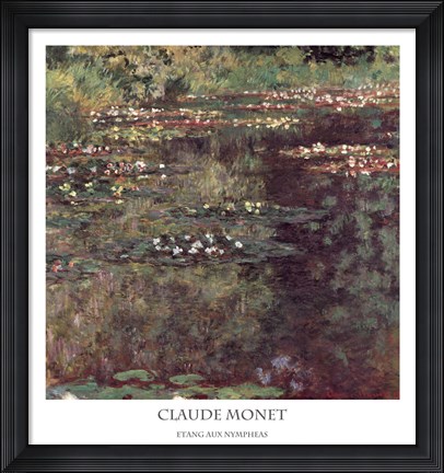 Framed Etang aux Nympheas Print