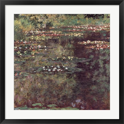 Framed Etang aux Nympheas Print