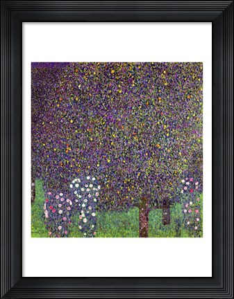 Framed Roses under the Trees, c.1905 Print
