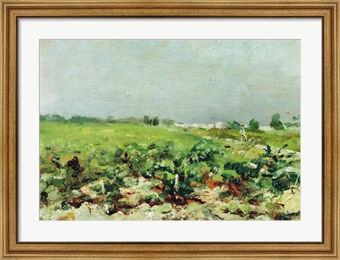 Framed Celeyran, View of the Vineyard, 1880 Print