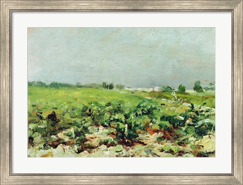 Framed Celeyran, View of the Vineyard, 1880 Print