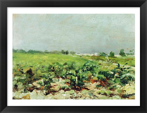 Framed Celeyran, View of the Vineyard, 1880 Print