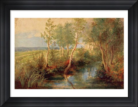 Framed Landscape Print