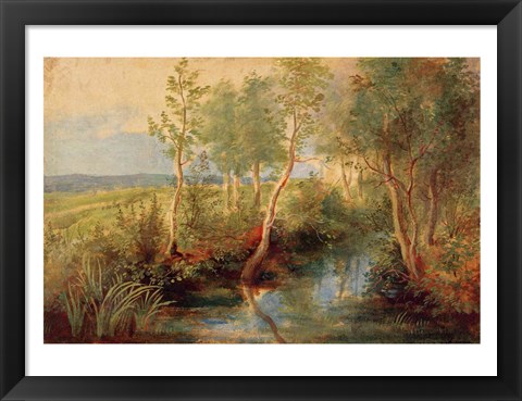 Framed Landscape Print