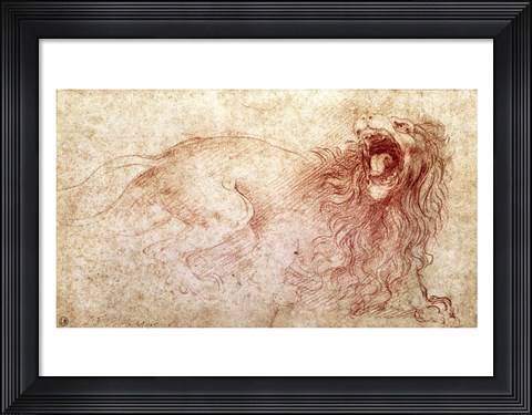 Framed Sketch of a roaring lion Print