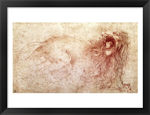 Framed Sketch of a roaring lion Print