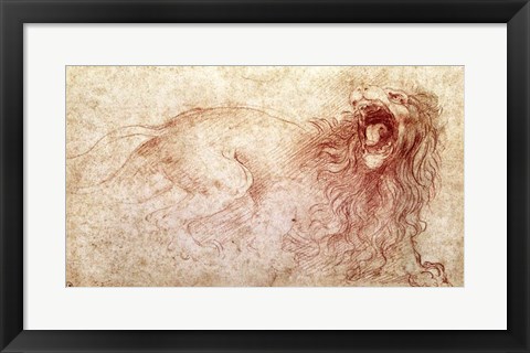 Framed Sketch of a roaring lion Print