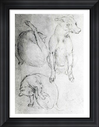Framed Study of a dog and a cat Print