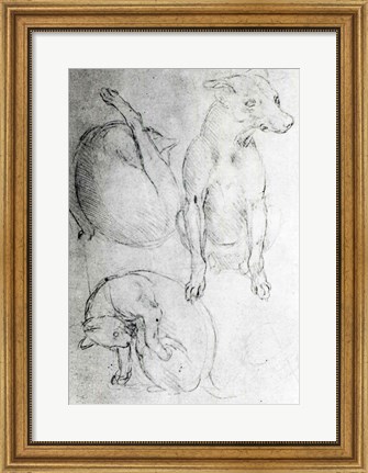 Framed Study of a dog and a cat Print