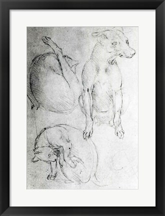 Framed Study of a dog and a cat Print