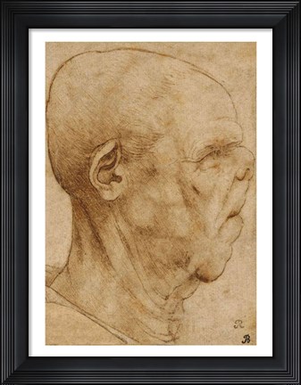 Framed Caricature of the head of an old man, in profile to the right, c.1507 Print