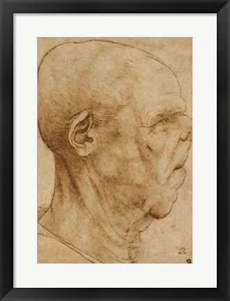 Framed Caricature of the head of an old man, in profile to the right, c.1507 Print