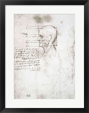 Framed Head of an Old Man in Profile Print
