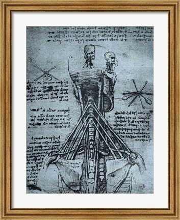 Framed Bone Structure of the Human Neck and Shoulder Print