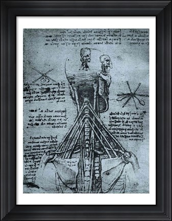 Framed Bone Structure of the Human Neck and Shoulder Print