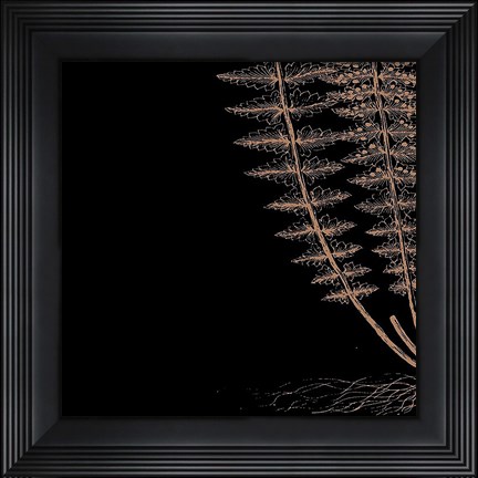 Framed Fern III (on black) Print