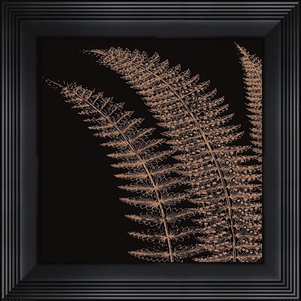 Framed Fern I (on black) Print