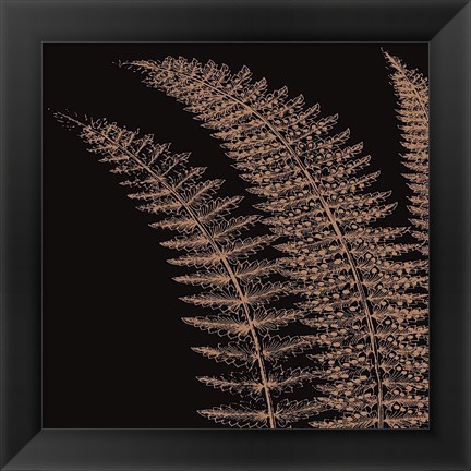 Framed Fern I (on black) Print