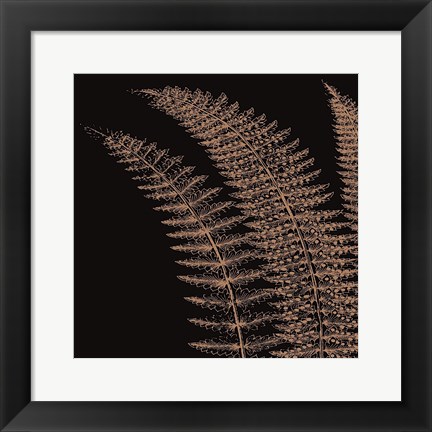 Framed Fern I (on black) Print