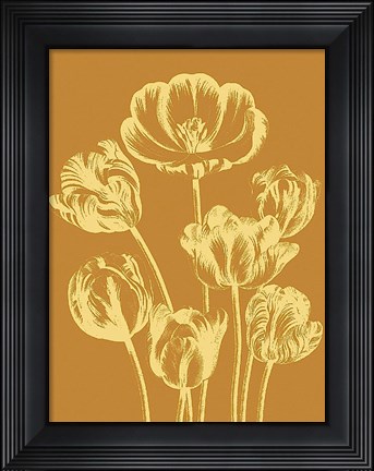 Framed Tulip 20 Print