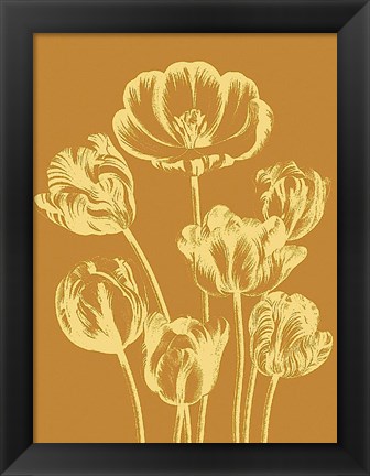 Framed Tulip 20 Print