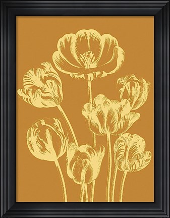 Framed Tulip 20 Print