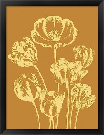 Framed Tulip 20 Print