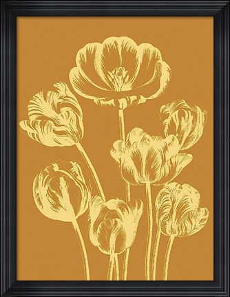 Framed Tulip 20 Print