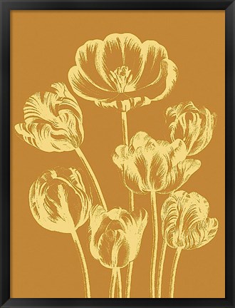 Framed Tulip 20 Print