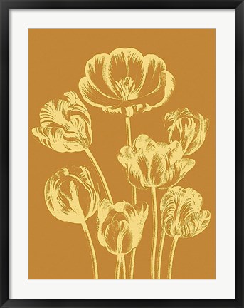 Framed Tulip 20 Print