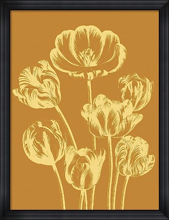 Framed Tulip 20 Print