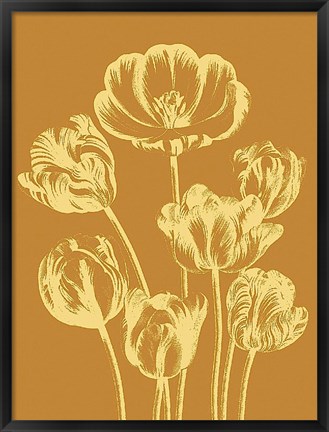 Framed Tulip 20 Print