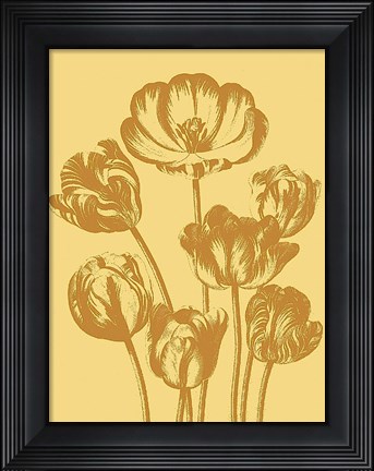 Framed Tulip 19 Print