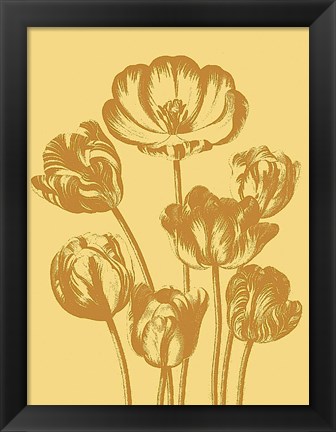 Framed Tulip 19 Print