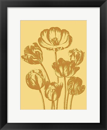 Framed Tulip 19 Print