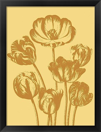 Framed Tulip 19 Print