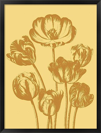 Framed Tulip 19 Print